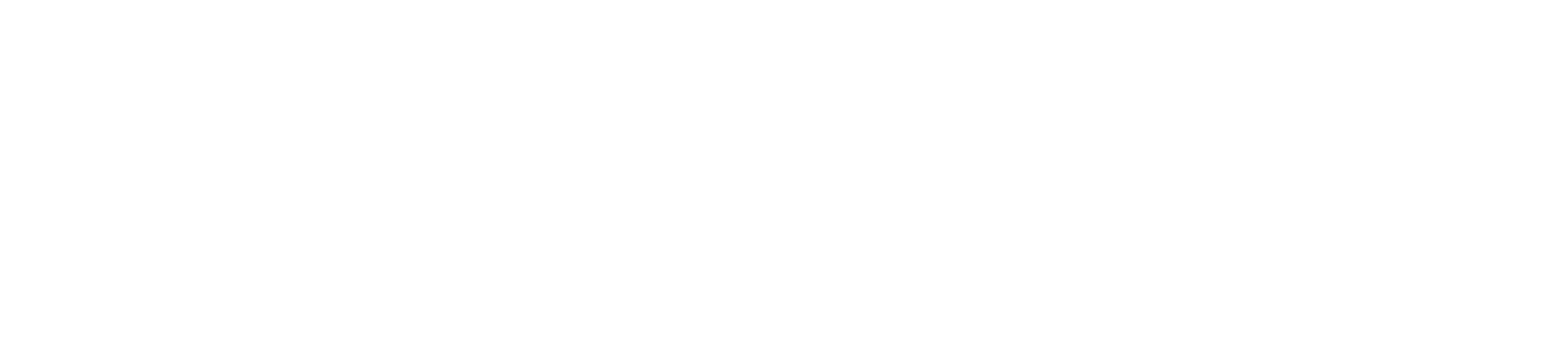 FENIX Company
